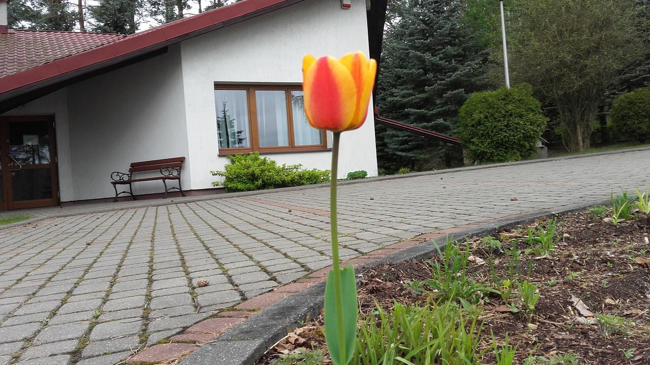 Prázdninový areál Osrodek Szkoleniowo - Wypoczynkowy Guzianka *