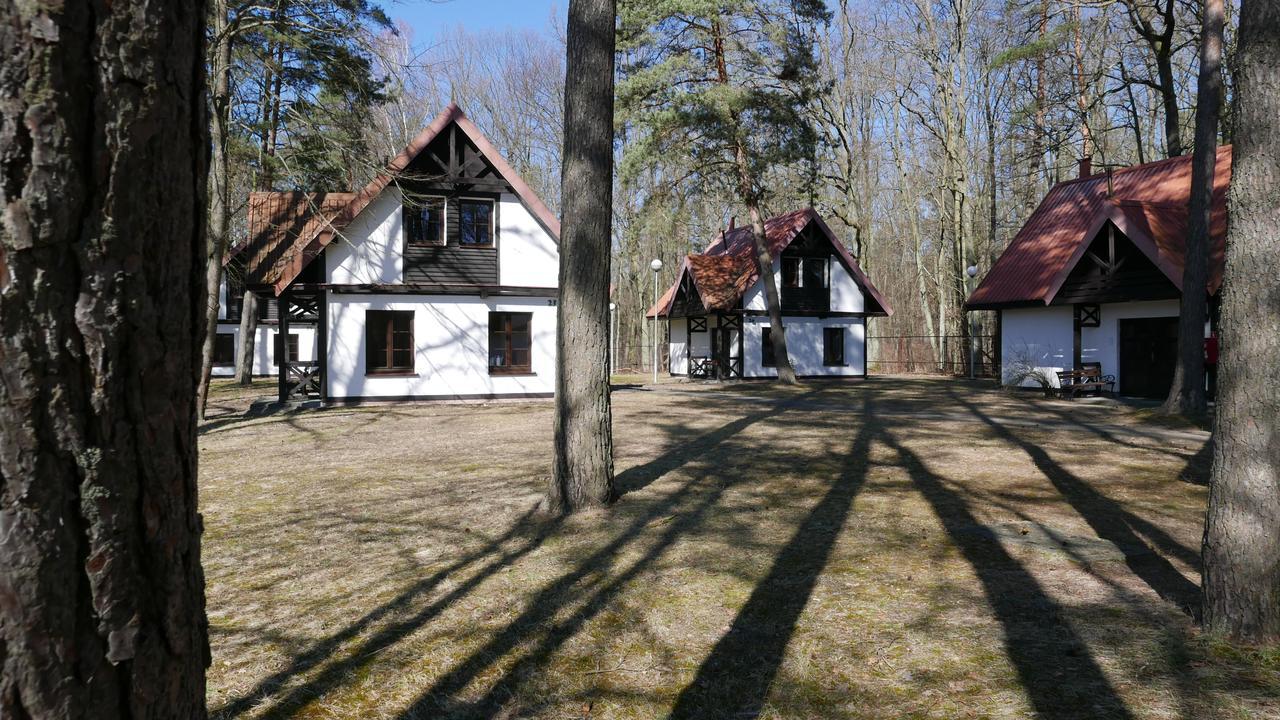 Osrodek Szkoleniowo - Wypoczynkowy Guzianka